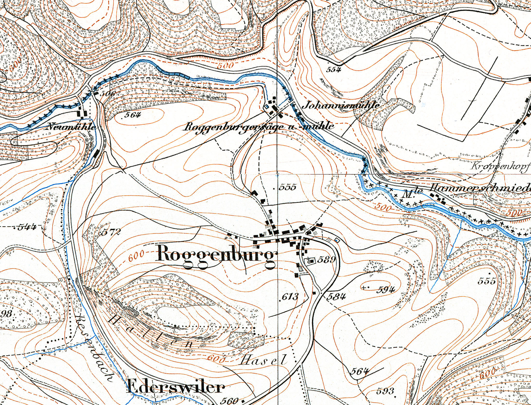 E17644 RG04 Siegfriedkarte Roggenburg